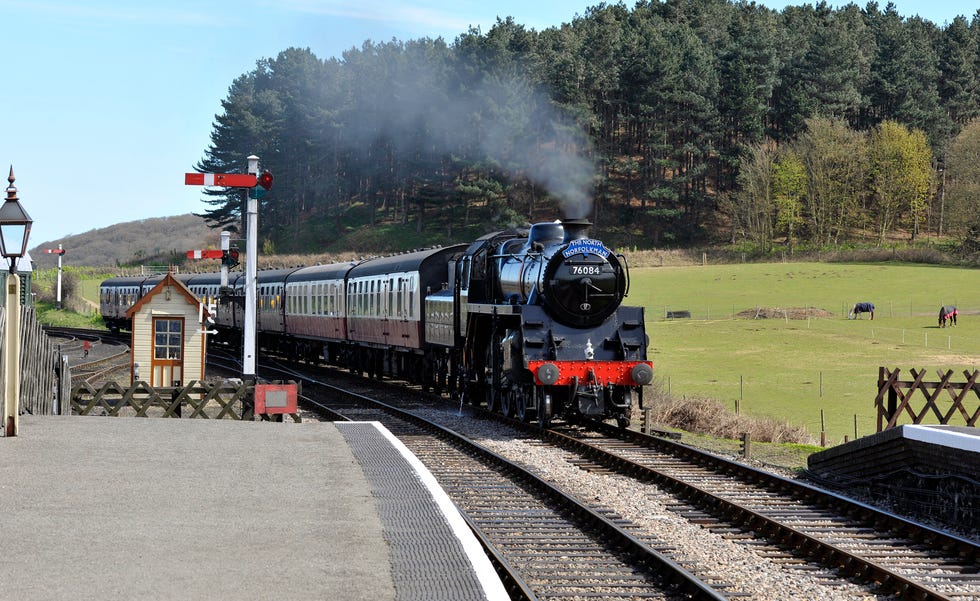 Steam train rides