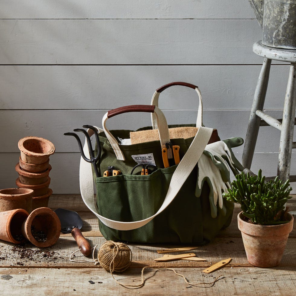a basket with a plant in it
