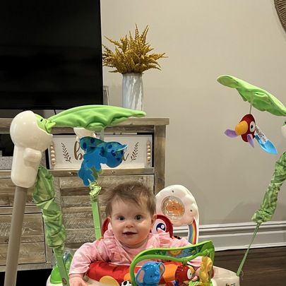 Fisher-Price Adorable Animals Jumperoo reviews in Baby Gear - Swings,  Jumpers & Bouncers - ChickAdvisor