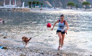 dog swimrun lago di garda torbole
