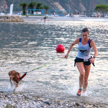 dog swimrun lago di garda torbole dog swimrun lago di garda torbole