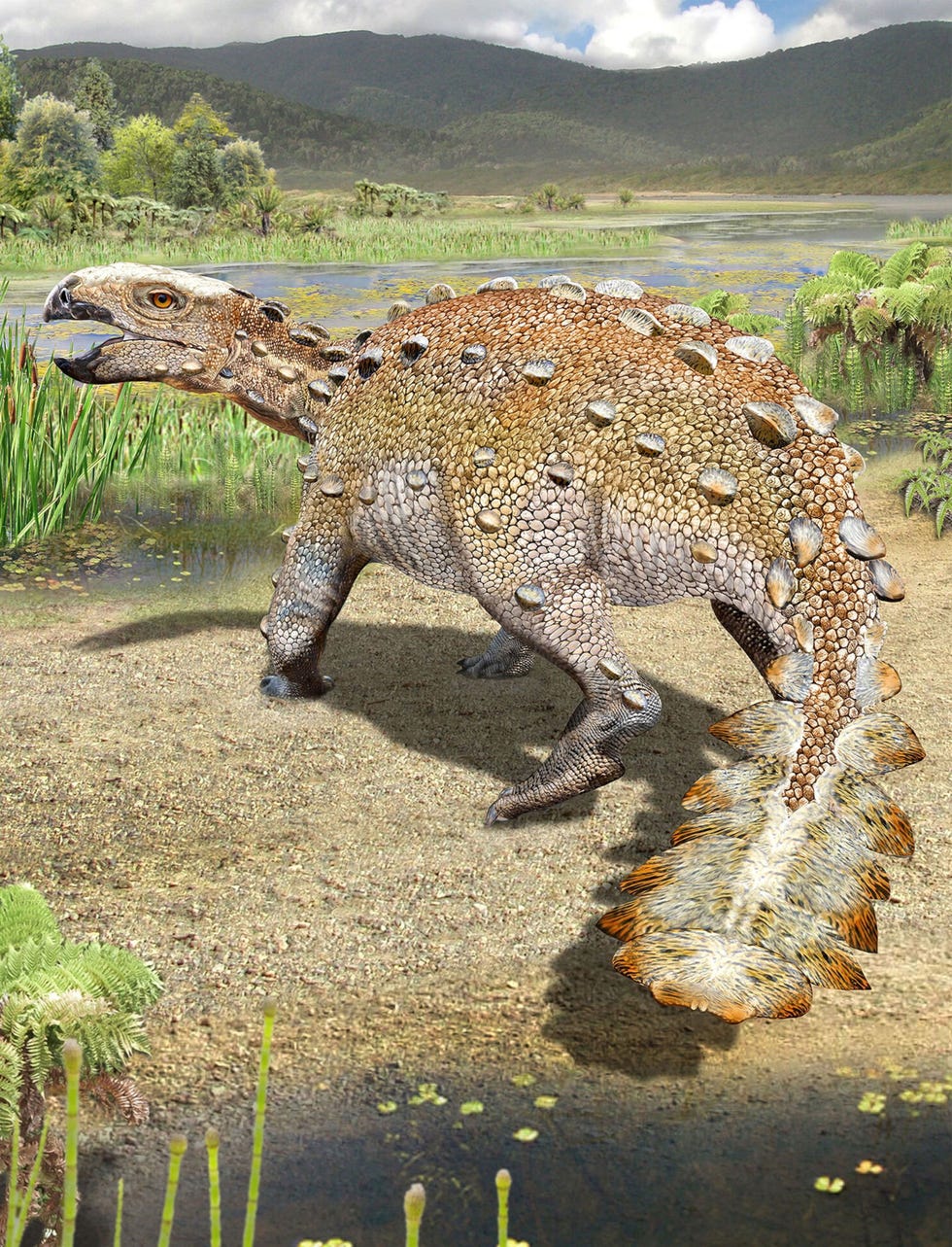 Zon 73 miljoen jaar geleden kwam een nieuw ontdekte dinosaurirsoort met een knotsachtige staart voor in een regio die nu het zuiden van Chili vormt Het dier leefde in een rivierdelta met een weelderige vegetatie zoals in deze illustratie is uitgebeeld