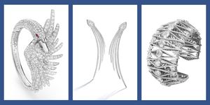 Leaf, Line art, Vascular plant, Illustration, Plant, Feather, Drawing, 