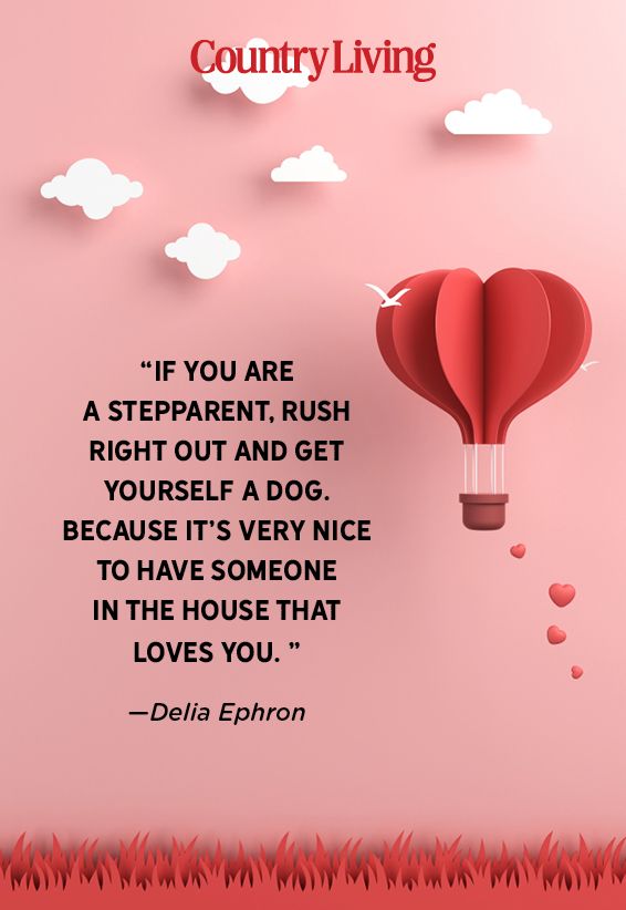 stepdad quote by delia ephron