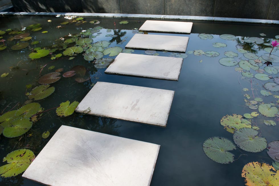 stepping stones path over waterlily pads floating on a pool