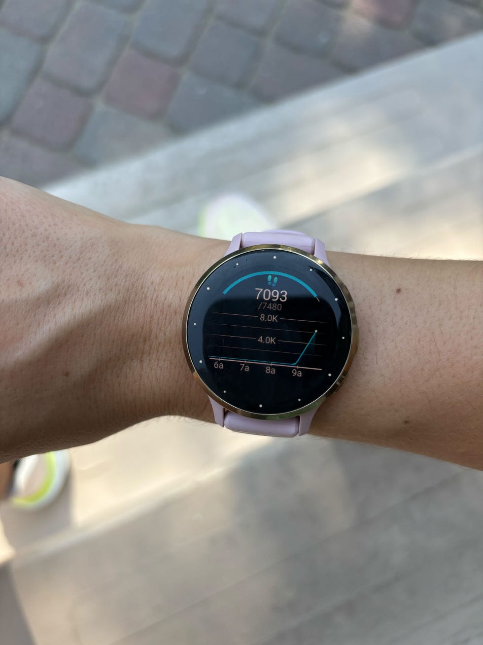 step counter on the garmin watch