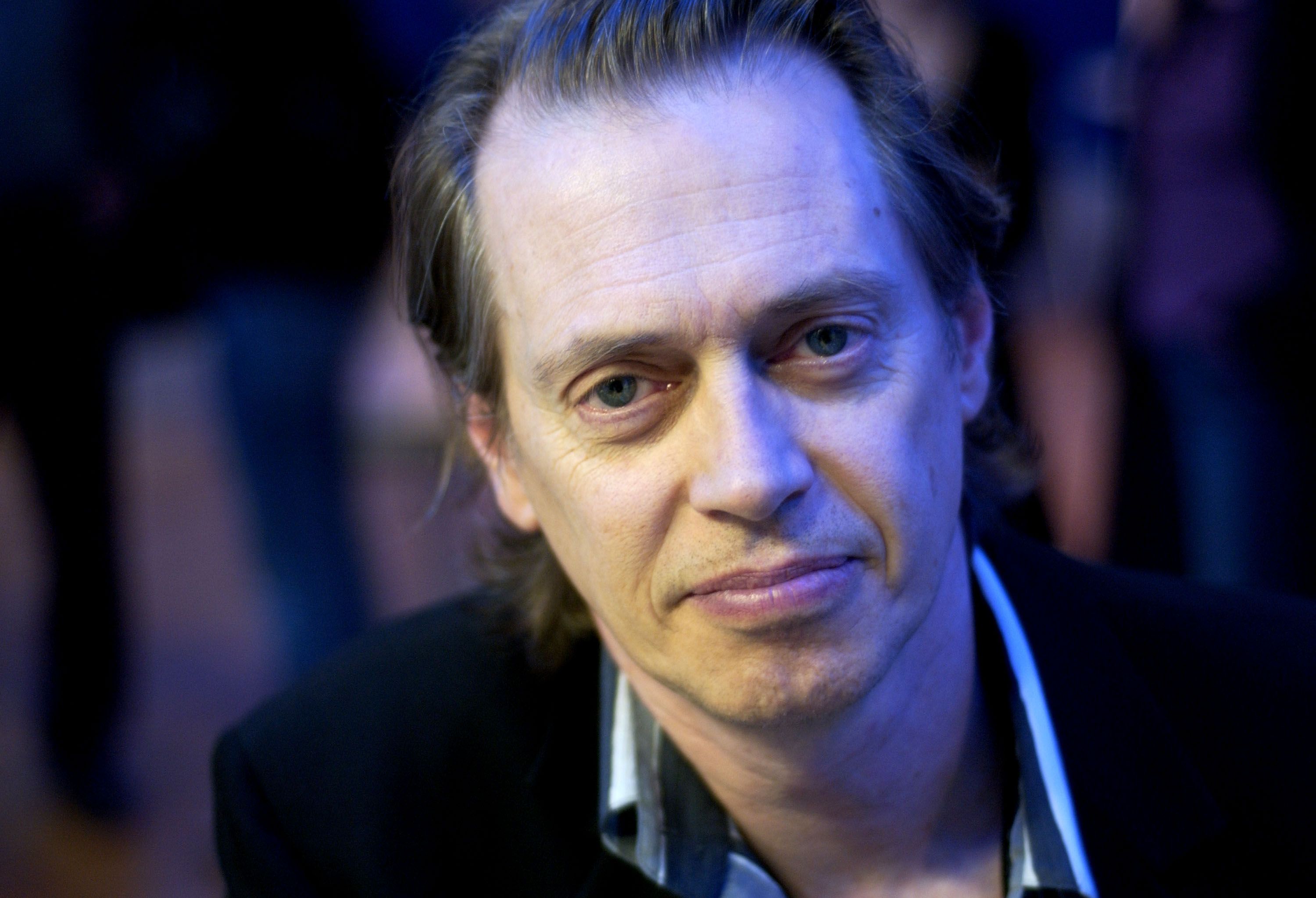 Steve Buscemi biograf a pel culas y fotos