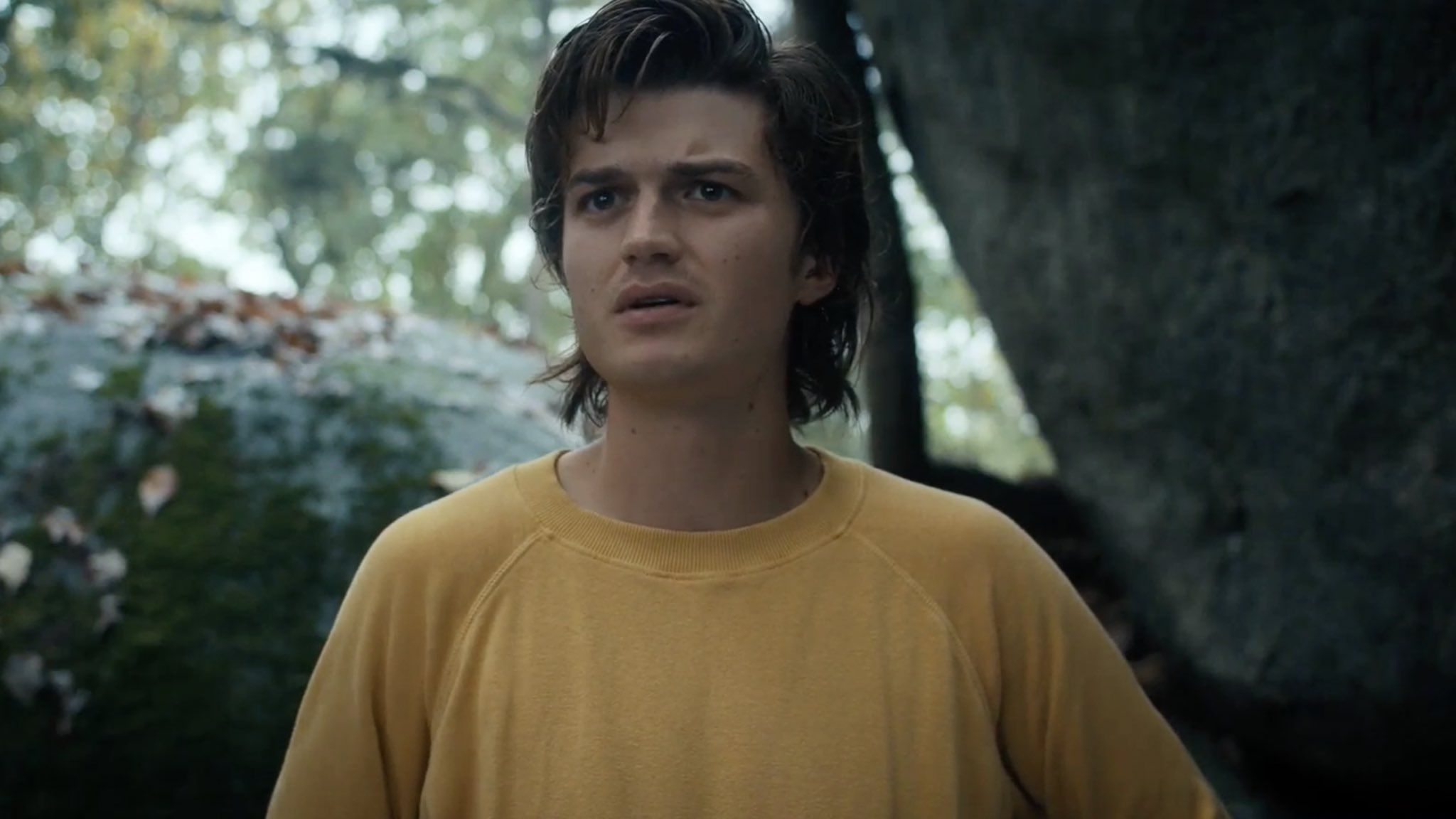 Photos from Stranger Things Season 4, Volume 2: Death Theories