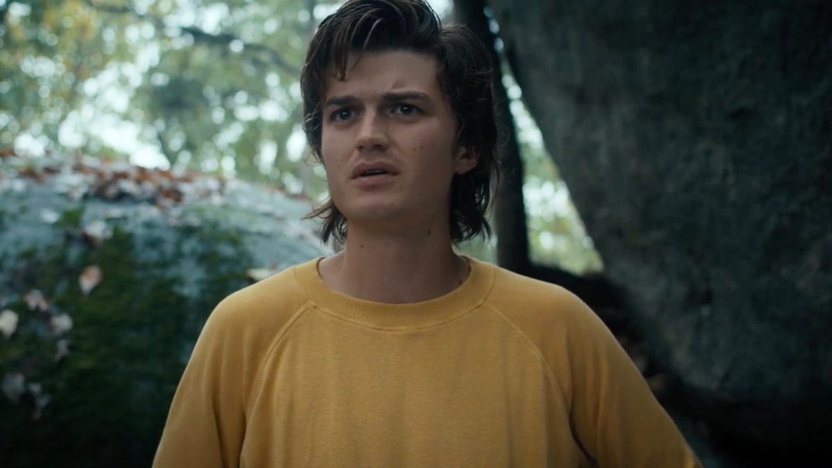 Stranger Things 5  Will Steve Harrington Die? 