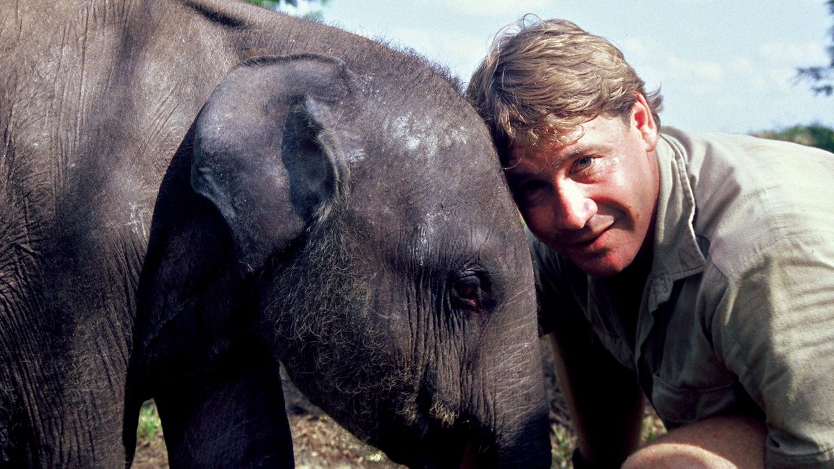 Steve Irwin: The Devastating Death of ‘The Crocodile Hunter’