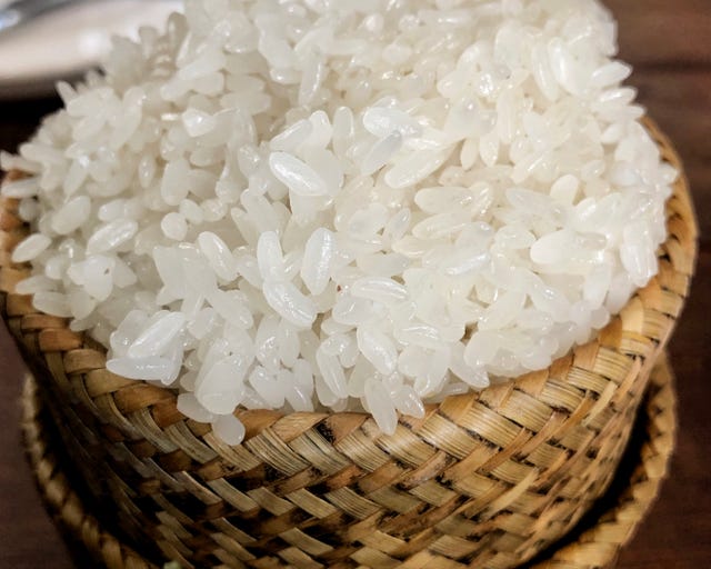 sticky rice