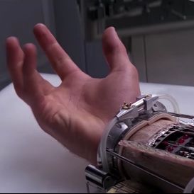 luke skywalker's artificial limb