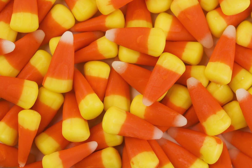 still life of candy corn