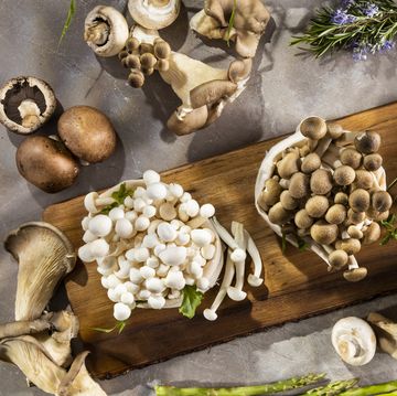 still life of natural mushrooms