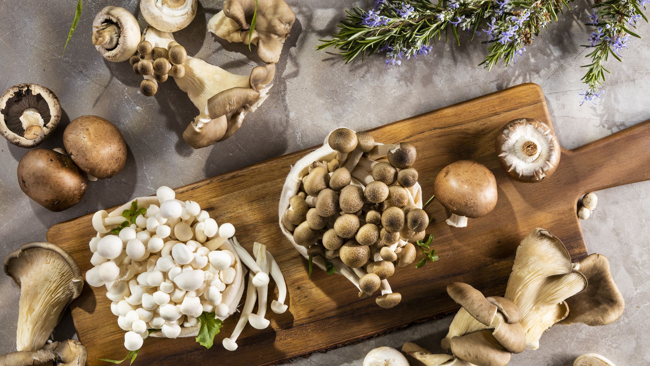 Natural Life Mushroom Mug with Lid - Grow Your Own Way