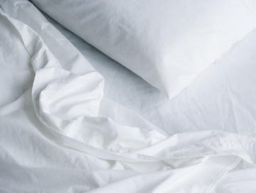 how to get rid of bed bugs 