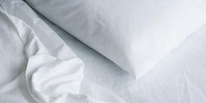 how to get rid of bed bugs 