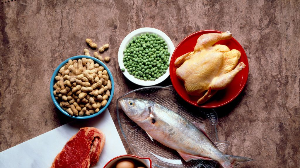 https://hips.hearstapps.com/hmg-prod/images/still-life-of-protein-foods-news-photo-1686764793.jpg?crop=1xw:0.71287xh;center,top