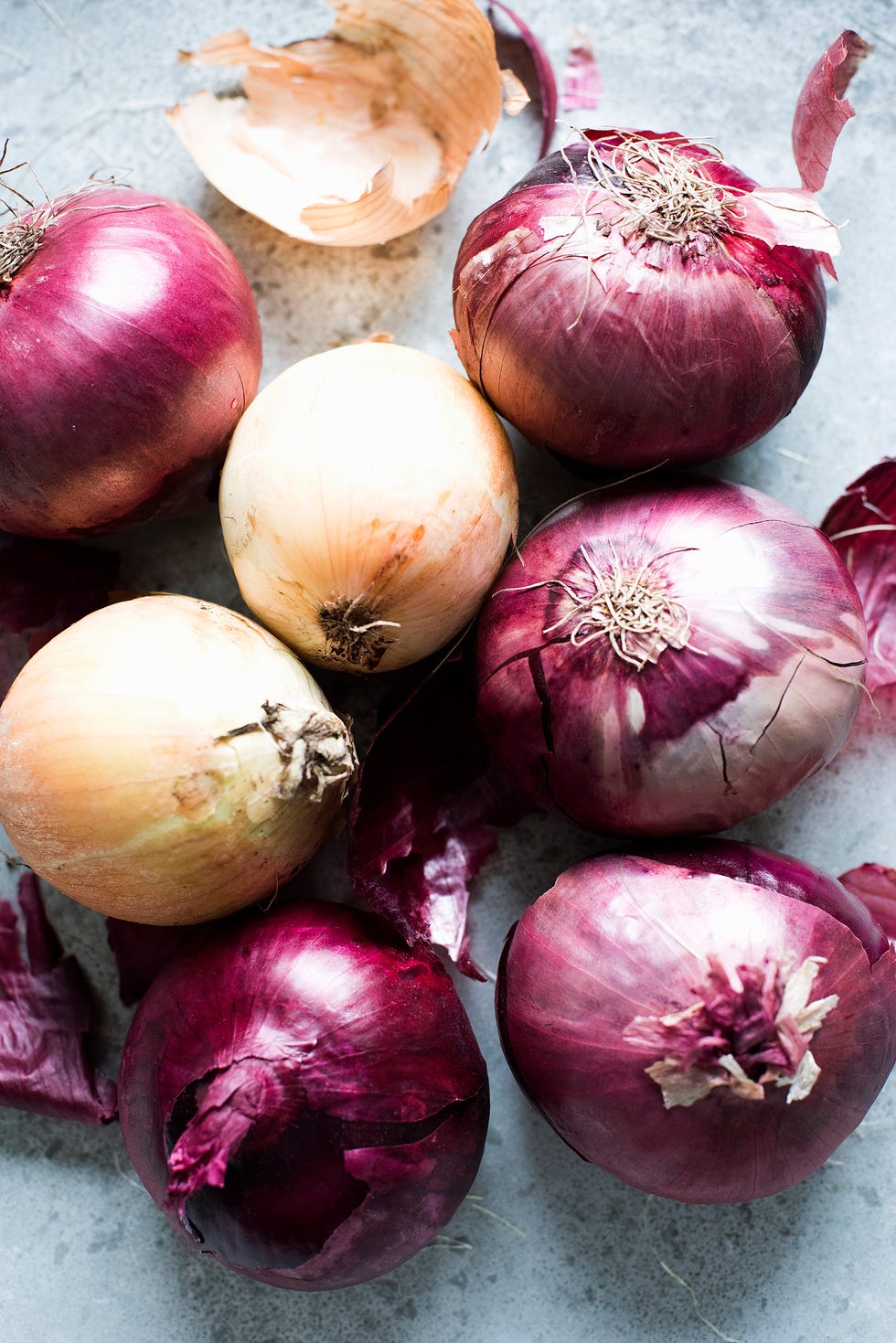 still life of red and white onions