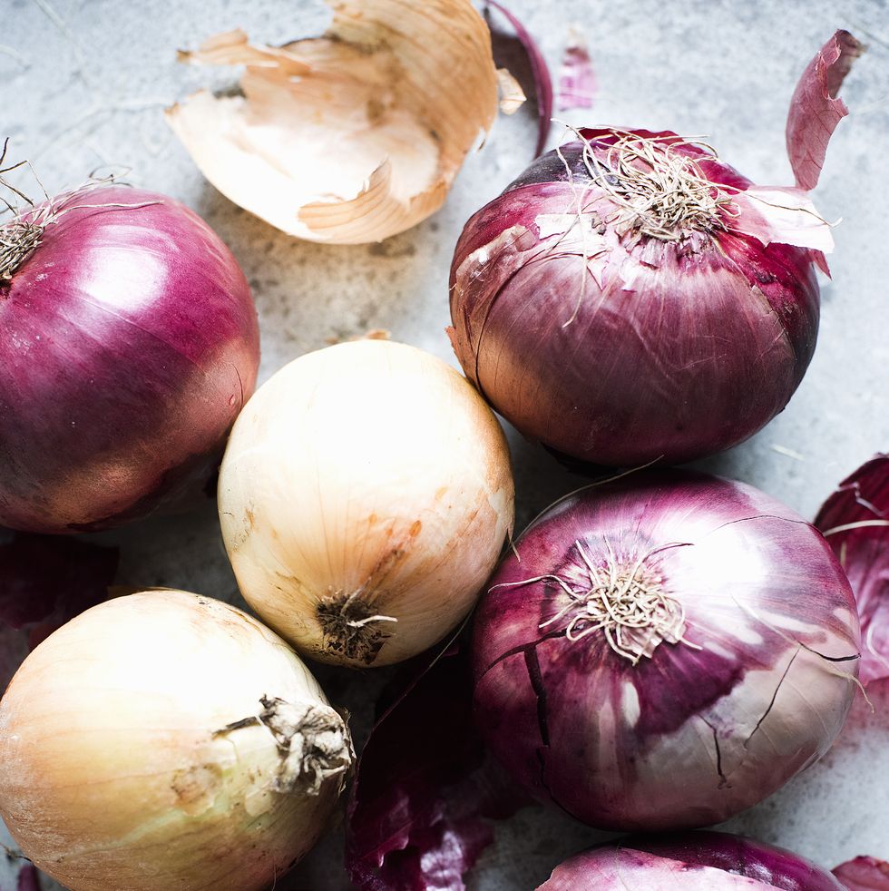 still life of red and white onions