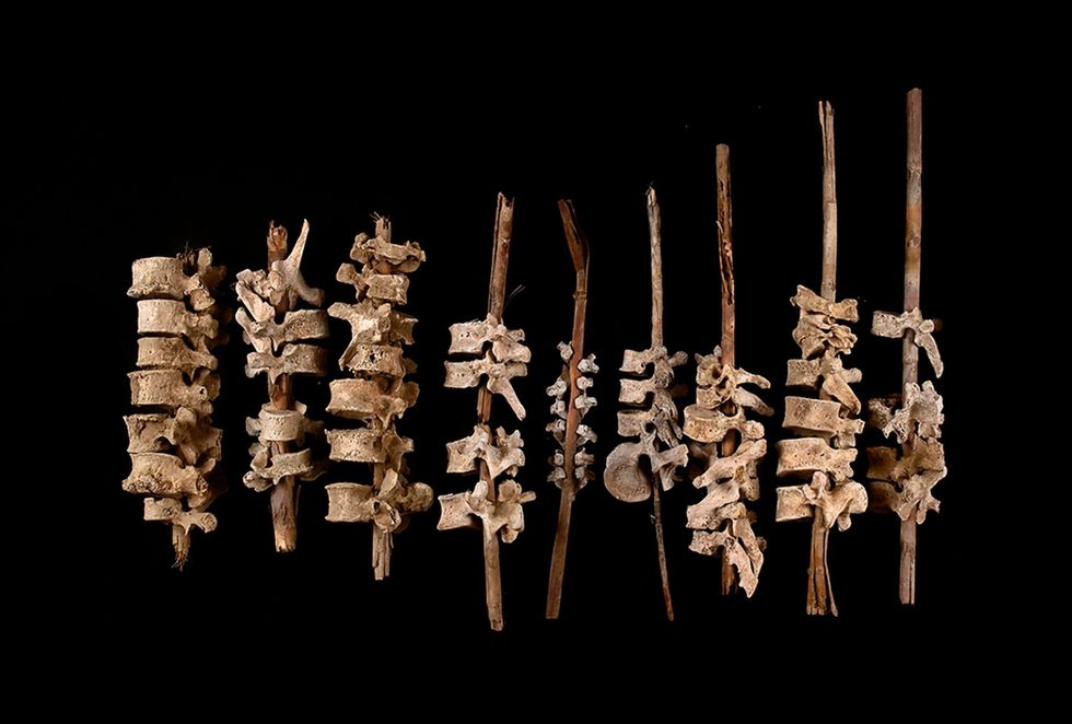 In de Andes in Peru denkt een archeoloog die stokken met ruggengraatwervels analyseert dat deze wellicht zijn gemaakt als eerbetoon aan voorouders