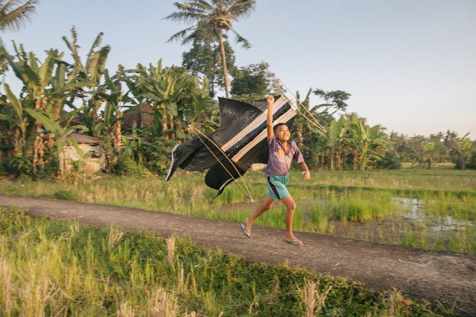 Made Dwi Sastrawan rent met zijn vlieger door het rijstveld bij Tunjuk een dorp op het Indonesische eiland Bali Vliegeren is onderdeel van de Hindoereligie en maakt van oudsher onderdeel uit van de Balinese cultuur