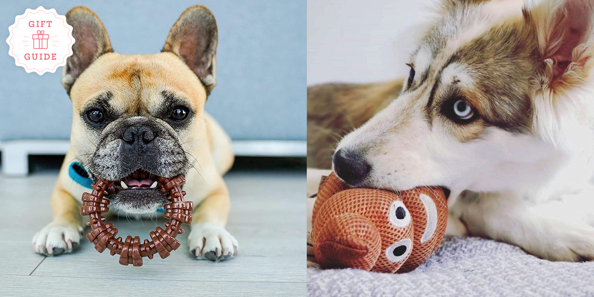 best chew toys for husky puppies