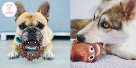 stocking stuffers for dogs
