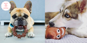 stocking stuffers for dogs