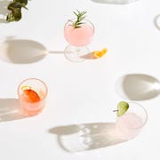 Plant, Illustration, Graphics, Still life photography, Plant, Illustration, Graphics, Still life photography,