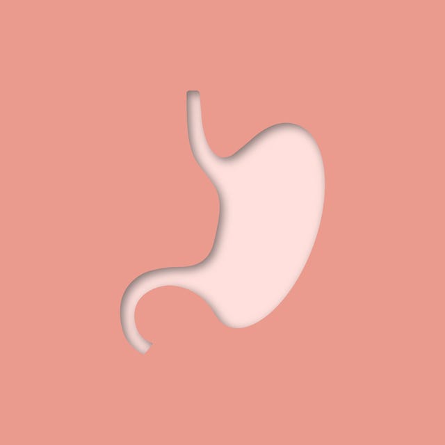 Желудок женщины. Из жизни женского желудка. Flag of the Stomach.