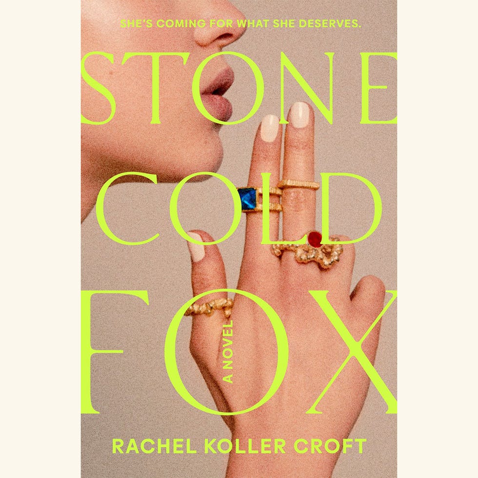 stone cold fox, rachel koller croft, new february 2023 books