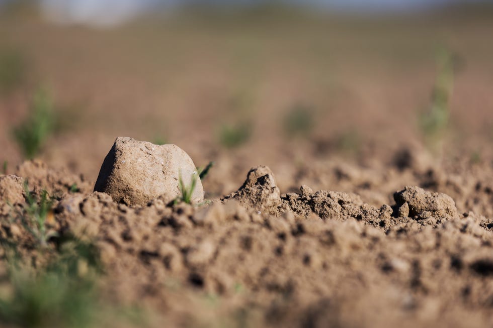 stone on a weeded field