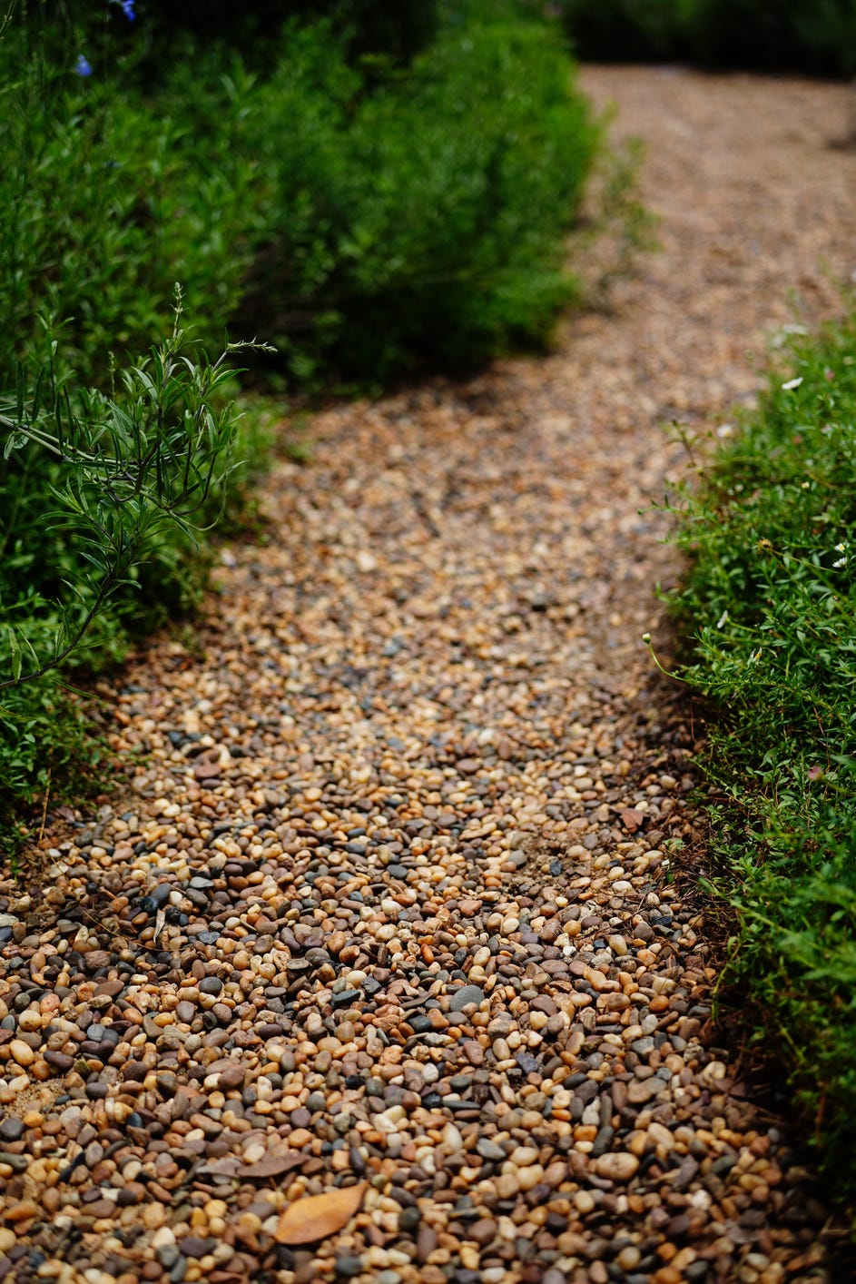 caminos de grava en el jardín