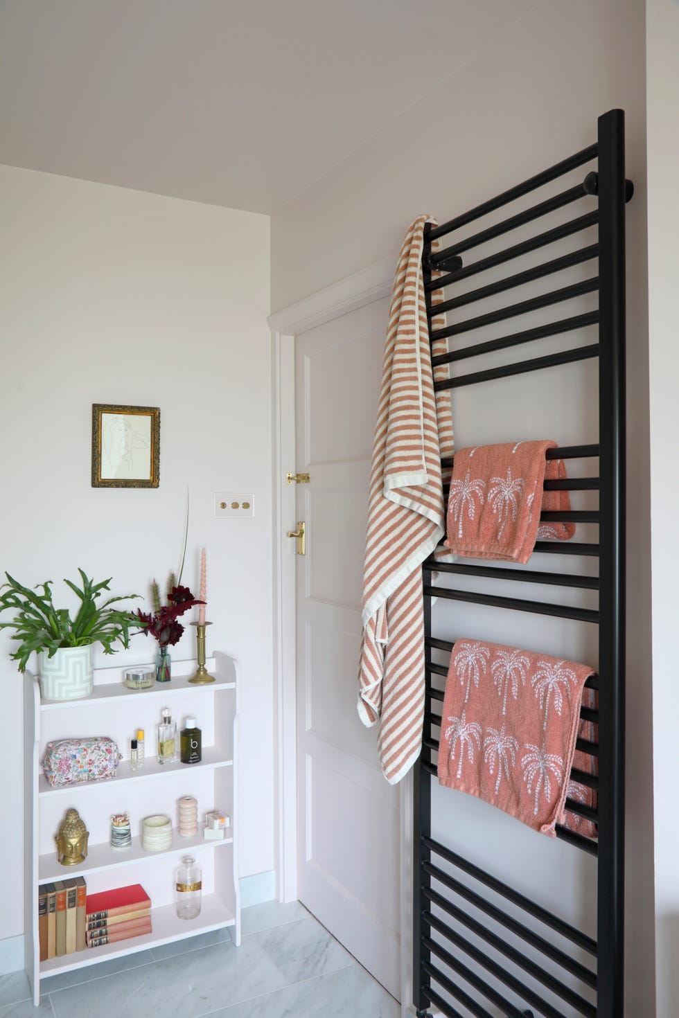 a bathroom with a door and a shelf with a plant and a towel radiator