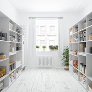 organization ideas organized home kitchen pantry