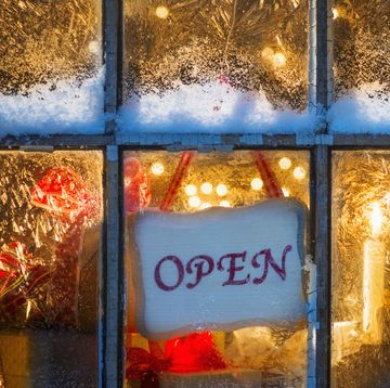 stores are open on christmas day
