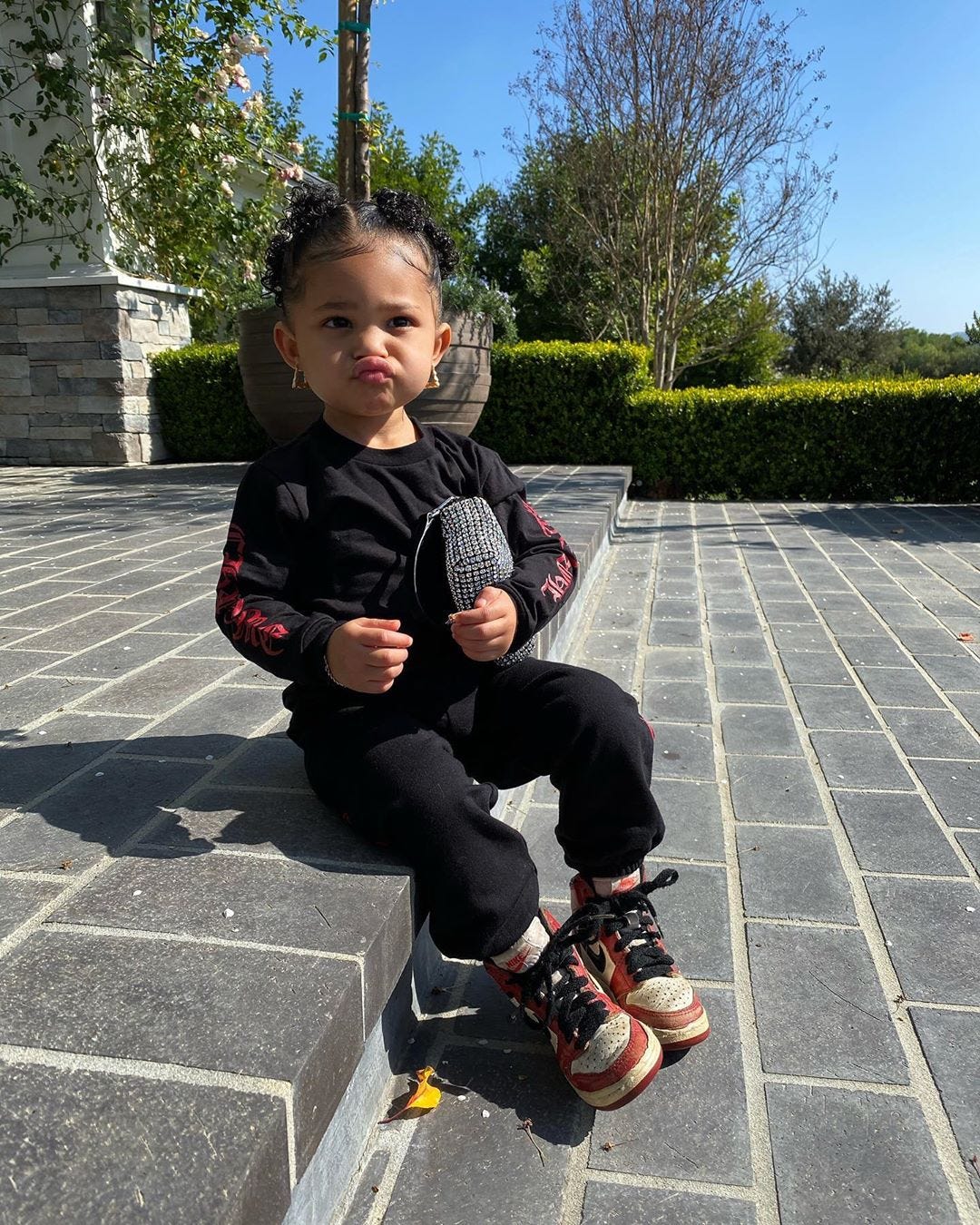 Stormi y su bolso Louis Vuitton - Foto 1