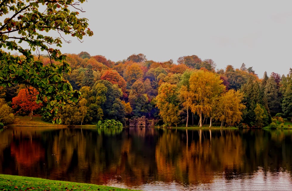 stourhead   autumn landscape