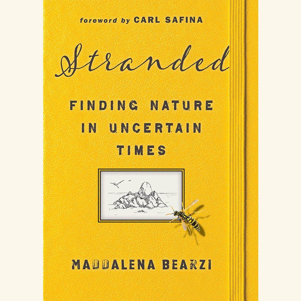 stranded finding nature in uncertain times, maddalena bearzi