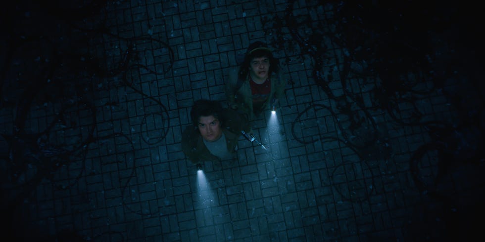 joe keery as steve harrington and gaten matarazzo as dustin henderson in a scene from stranger things. they are both holding flashlights and looking up at something that worries them.