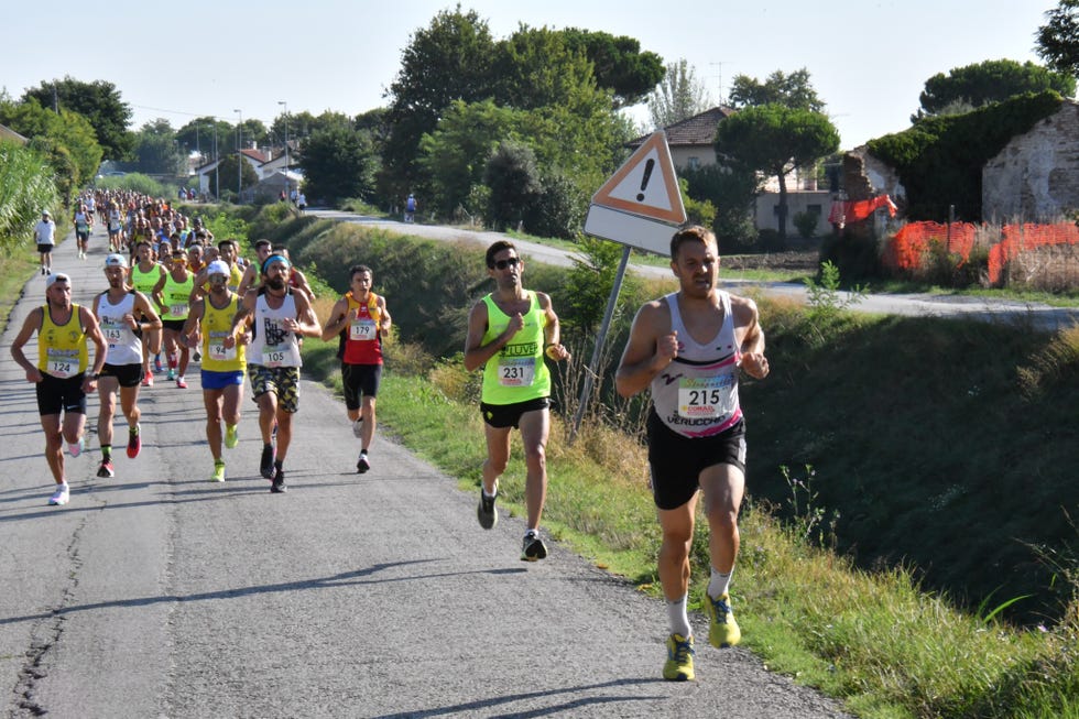 participants in a running race on a road lined with trees and houses