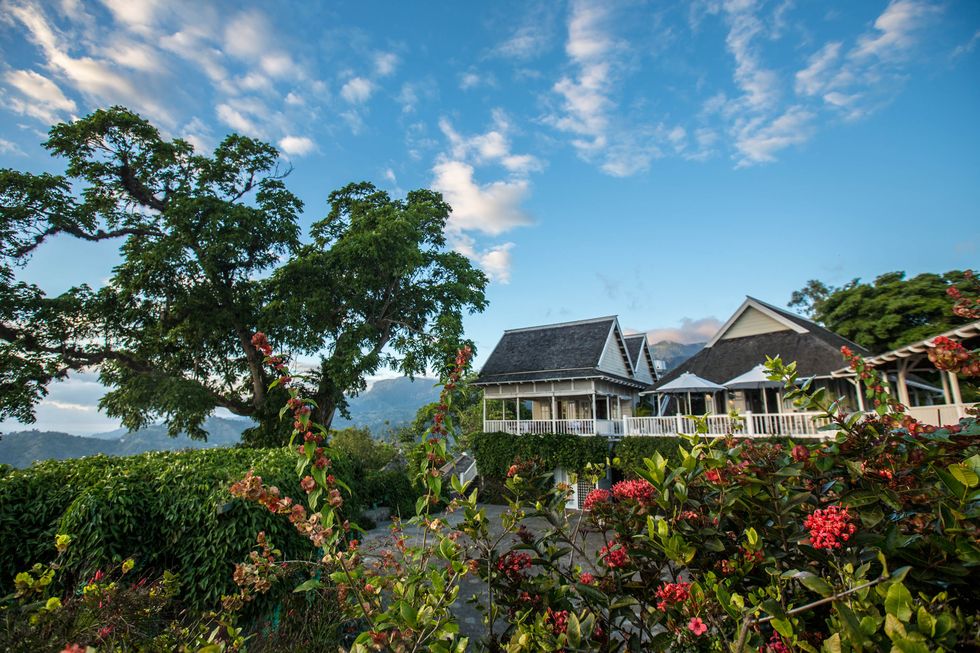 strawberry hill hotel luxury jamaican resort, blue mountains, jamaica