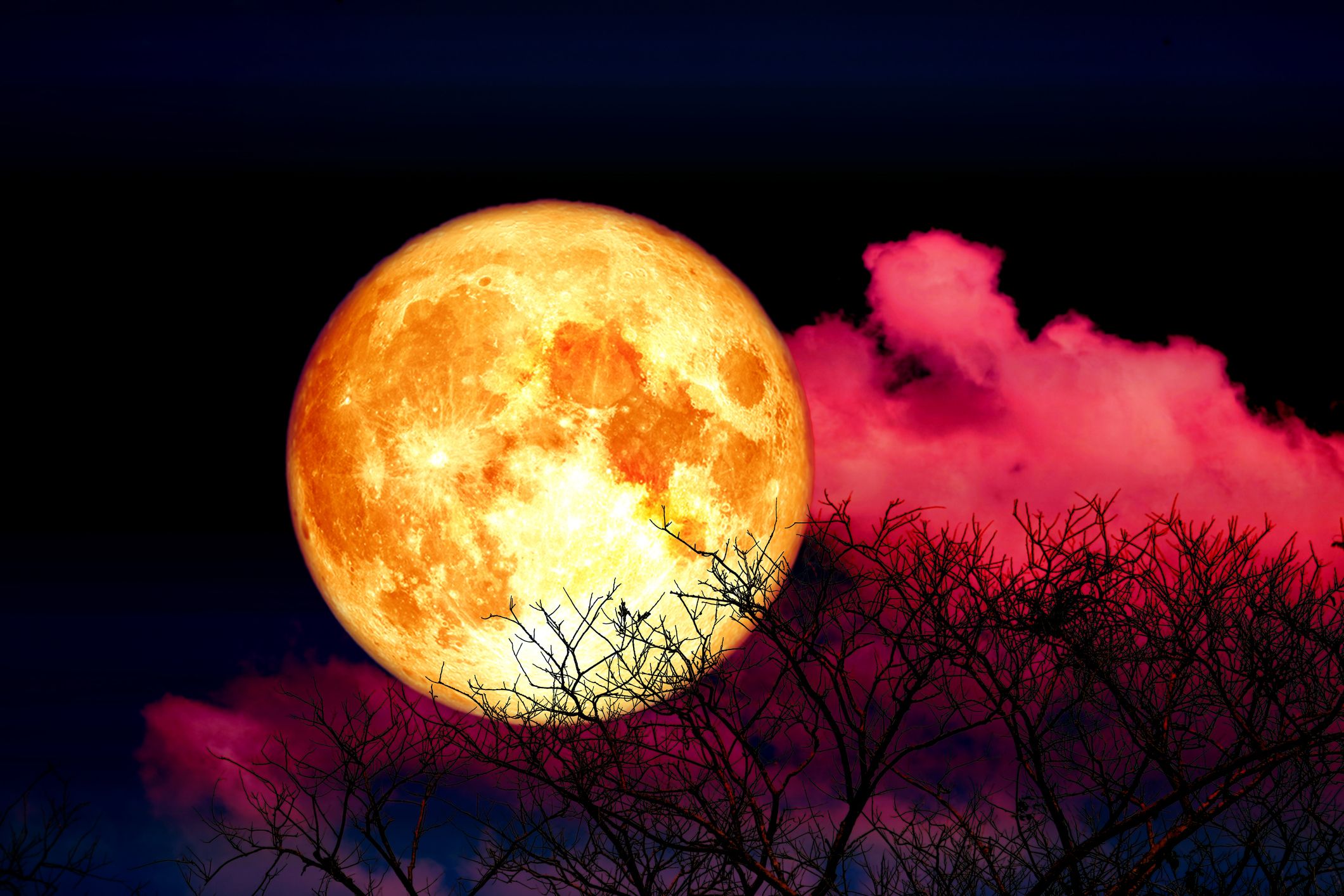 Strawberry Moon 2023 - What Is the Date of the June Full Moon