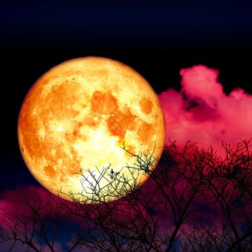 glowing orange moon with pink cloud around it and the outline of a tree in the field