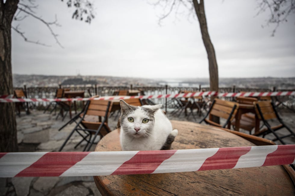 coronavirus precautions in istanbul