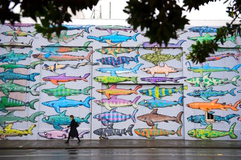 Het centrum van Wellington komt tot leven door de unieke straatkunst