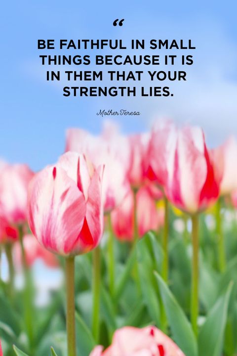 Strength quotes small things