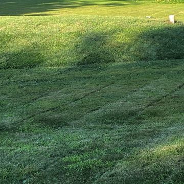 lawn stripes cut into the grass