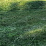 lawn stripes cut into the grass
